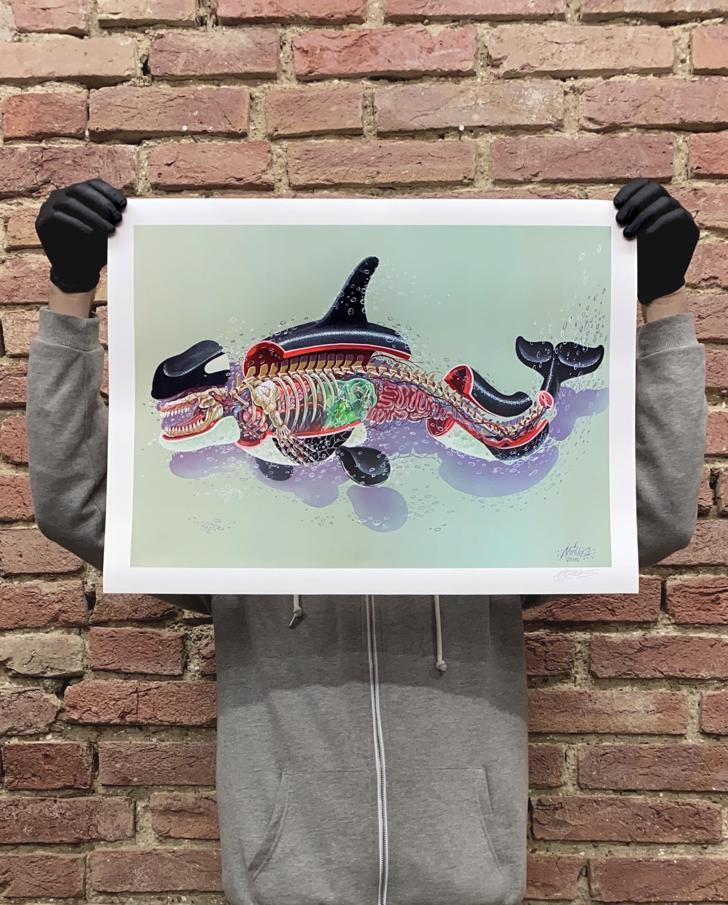 Nychos, Dissection of an Orca, 2023