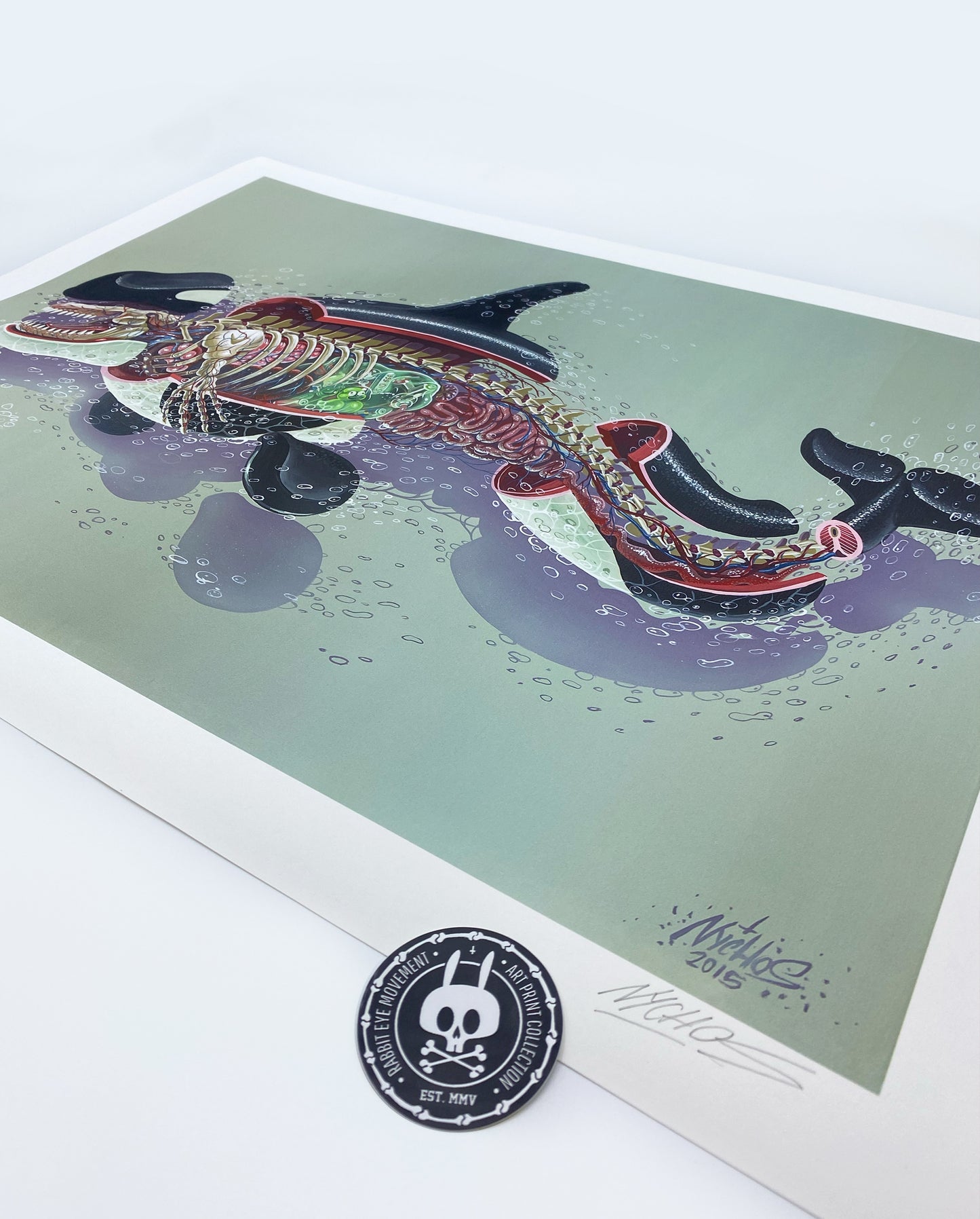 Nychos, Dissection of an Orca, 2023
