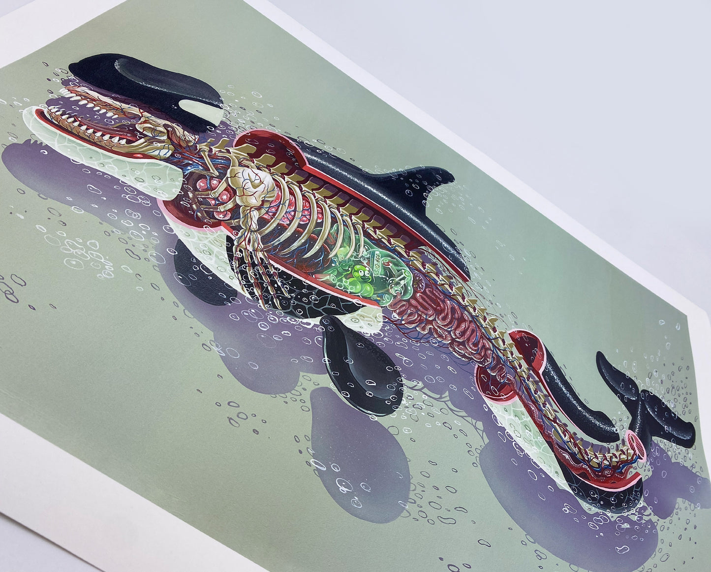 Nychos, Dissection of an Orca, 2023