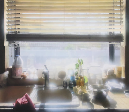 Andrew J. Park, Window of Opportunity, 2025