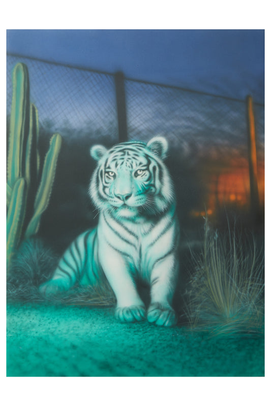 Adrian Contreras, untitled, 2025