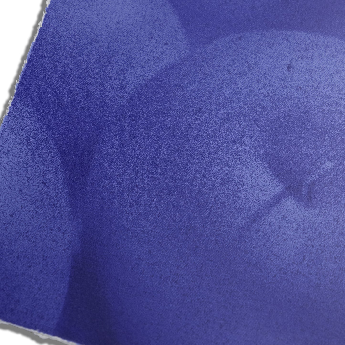 Paul Riedmüller, Still Life Blue, 2024