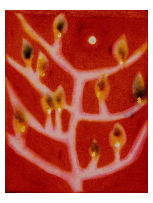 Loren Erdrich, Signifiers, 2025