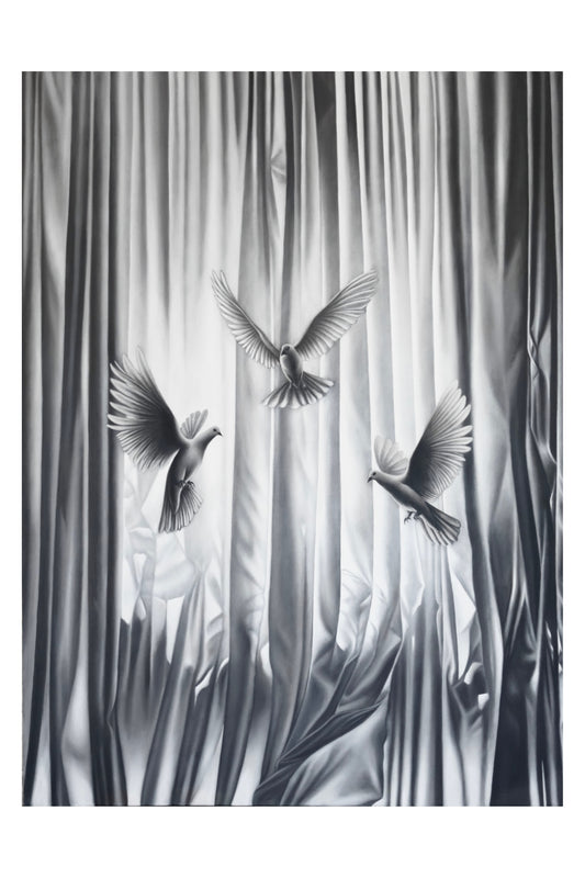 Samo Shalaby, Chamber of Liberty, 2025