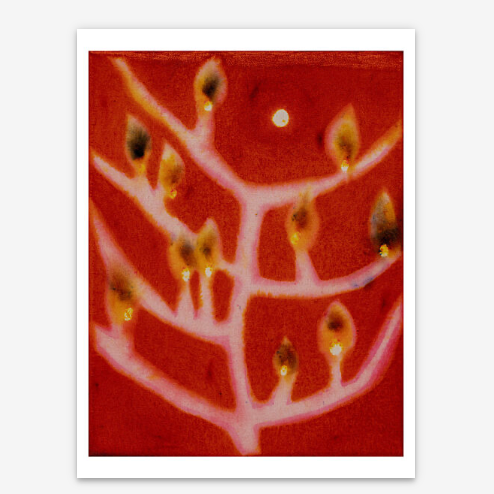 Loren Erdrich, Signifiers, 2025