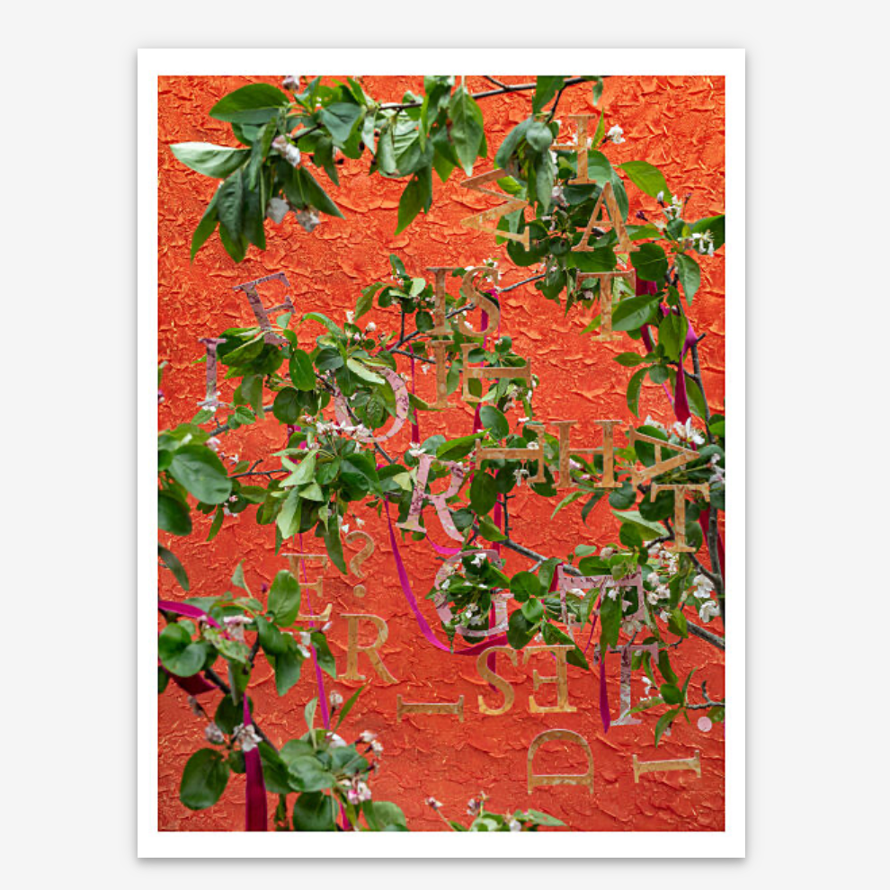 Rachel Stern, Desire Forget, 2025