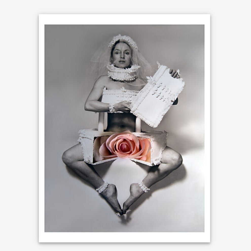 Penny Slinger, Opening of the Rose, 1973/2025