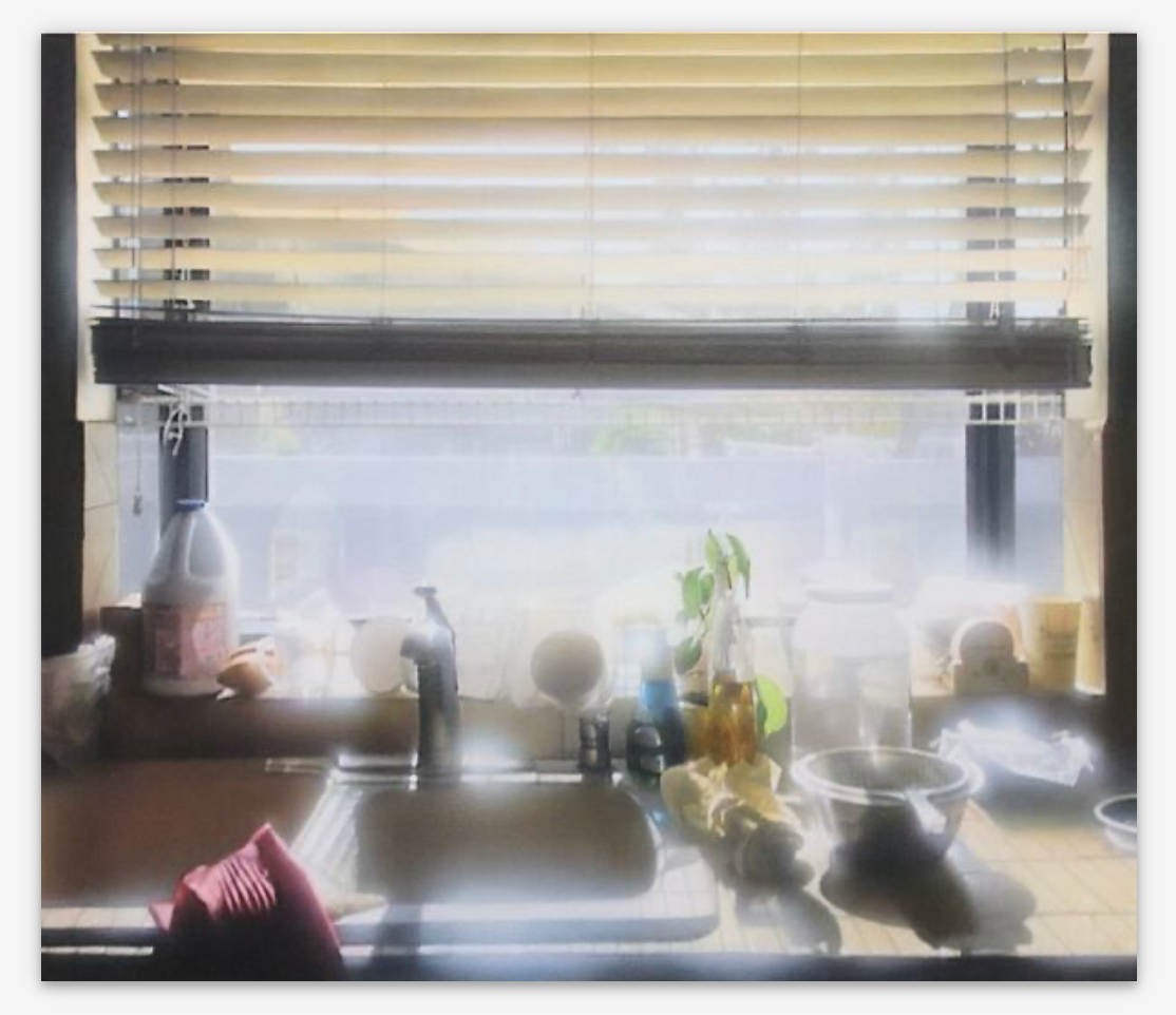Andrew J. Park, Window of Opportunity, 2025