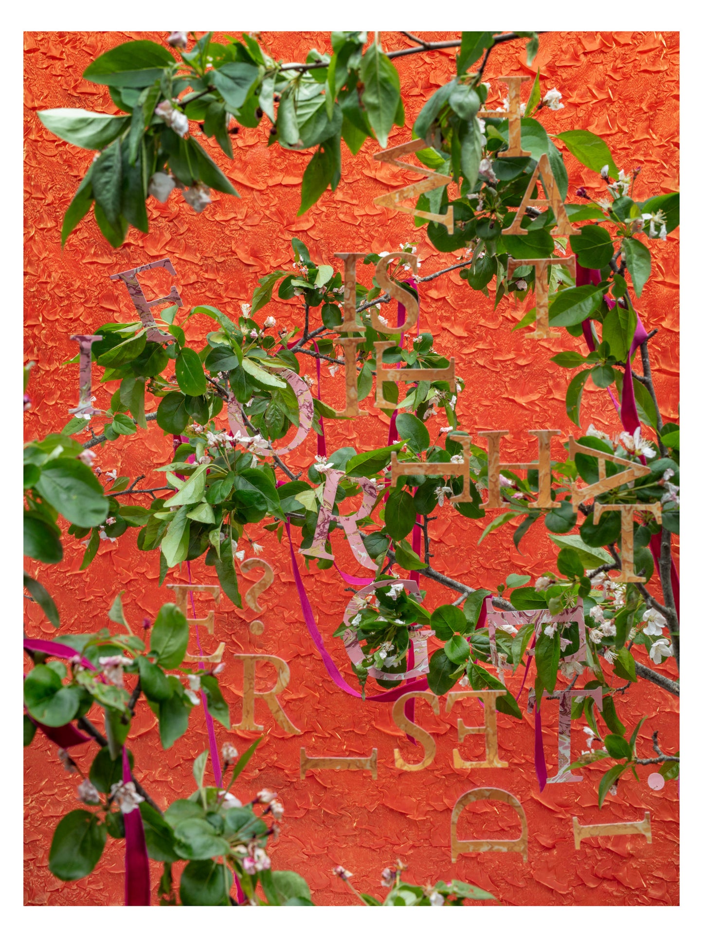 Rachel Stern, Desire Forget, 2025