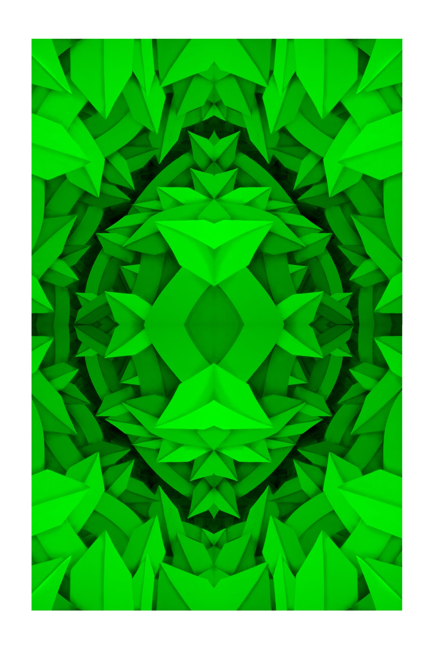 Apexer, Forrest, 2023