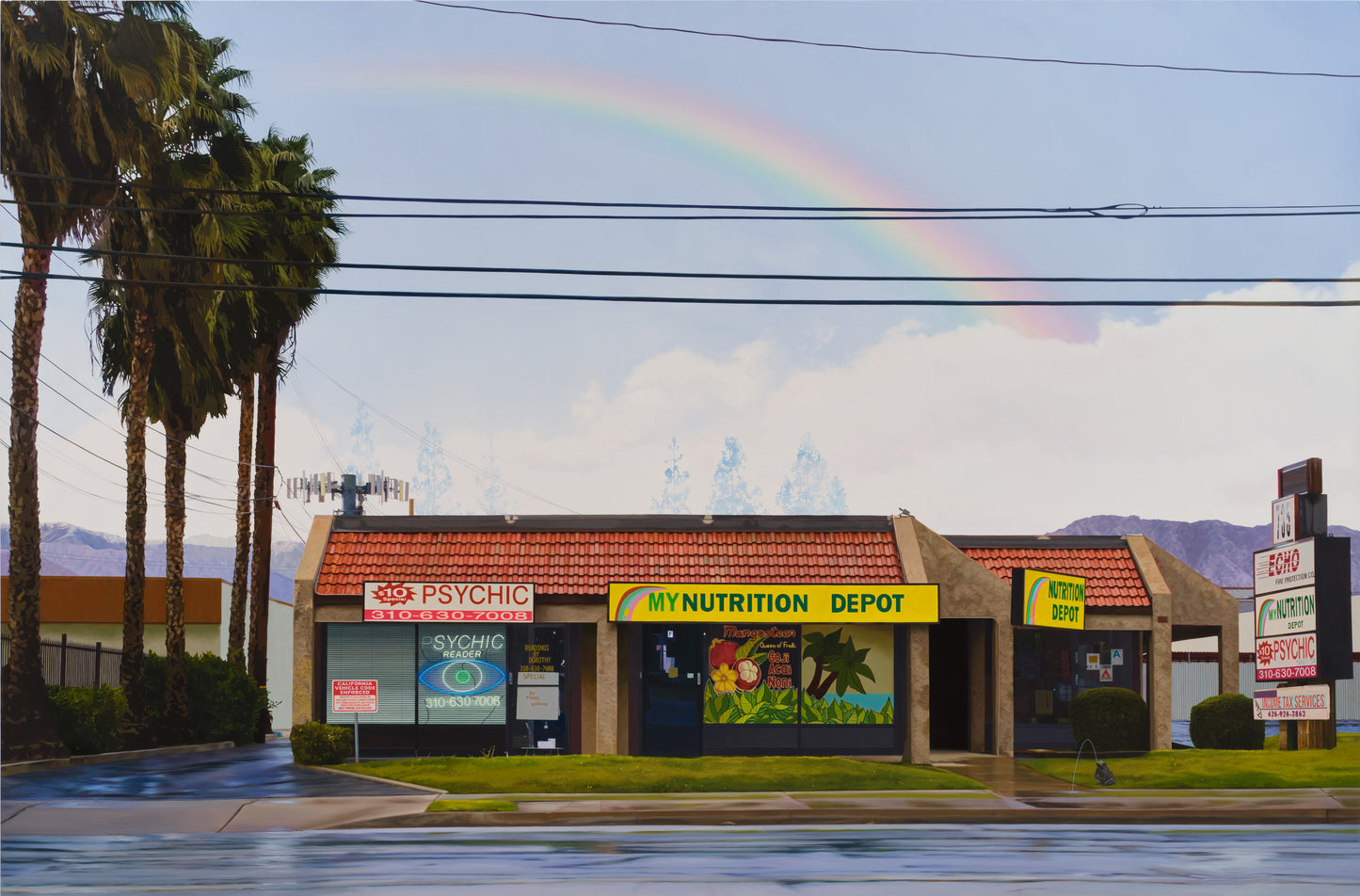 Kayla Witt, Somewhere Under the Rainbow, 2025